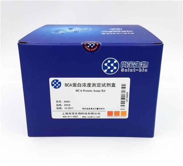 BCA蛋白濃度測定試劑盒