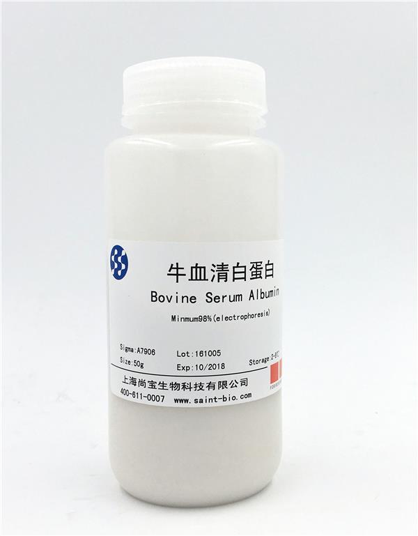 牛血清白蛋白