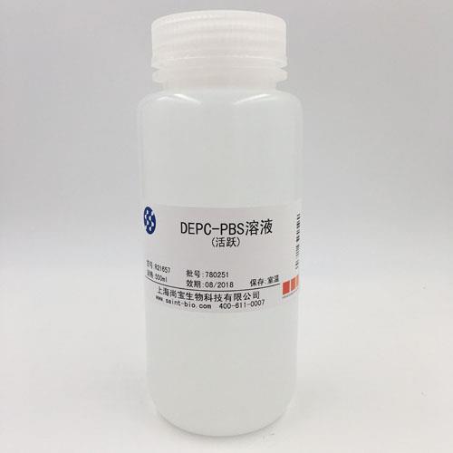 DEPC-PBS溶液（活躍）