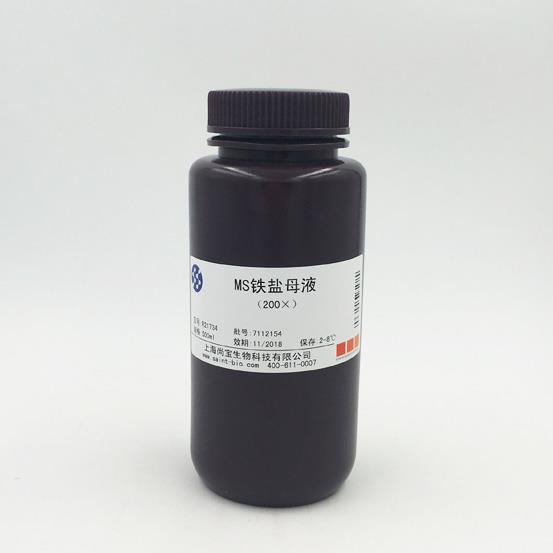 MS鐵鹽母液（200×）