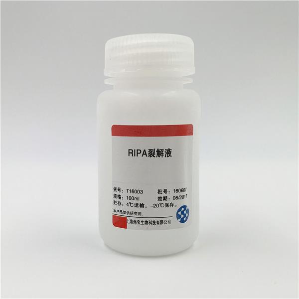 RIPA裂解液（中）