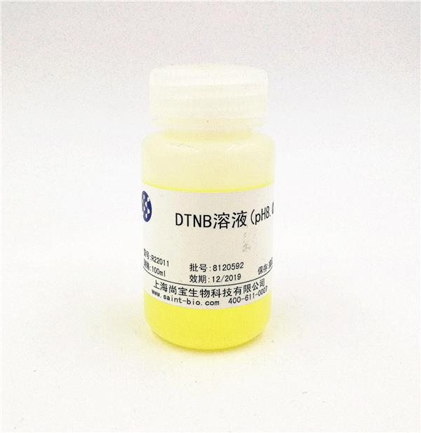 DTNB溶液（PH=8.0）