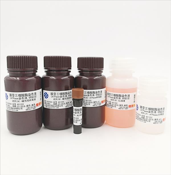 腺苷三磷酸酶染色液（ATPase染色液，鈣鈷法）