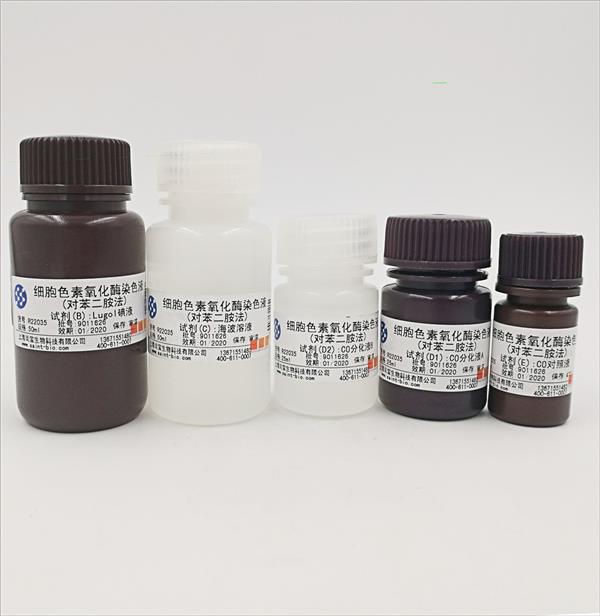 細(xì)胞色素氧化酶染色液（對苯二銨法）