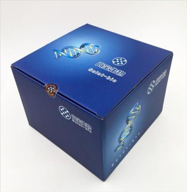 麻風(fēng)桿菌染色液（改良Wade-Fite法）