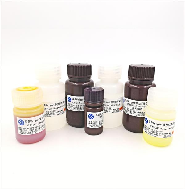 改良Weigert彈力纖維染色液