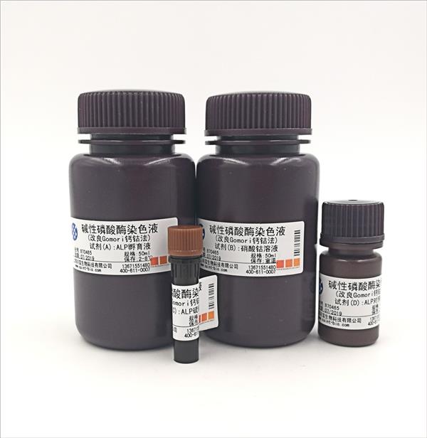堿性磷酸酶染色液（改良Gomori鈣鈷法）