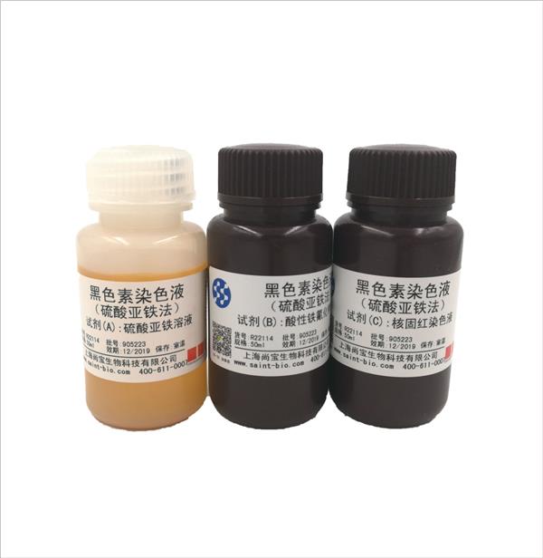 黑色素染色液（硫酸亞鐵法）