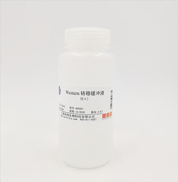 Western轉(zhuǎn)移緩沖液（5×）